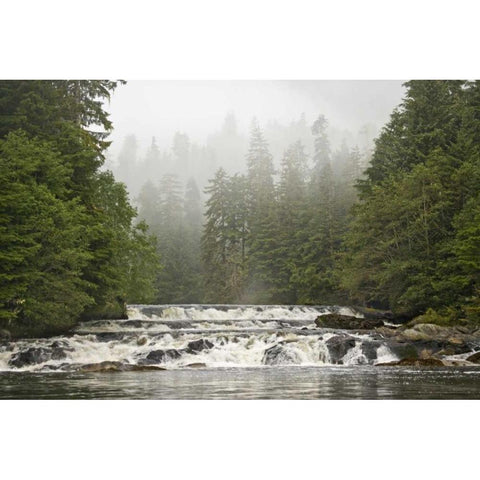 Canada, BC Canoona River waterfalls by forest Black Modern Wood Framed Art Print by Paulson, Don