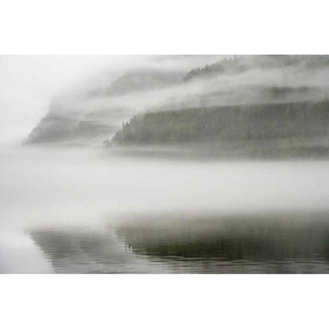Canada, BC, Calvert Island Fog shrouded forest Black Modern Wood Framed Art Print by Paulson, Don