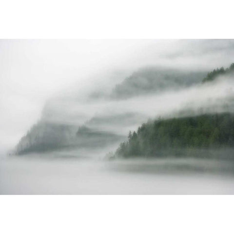 Canada, BC, Mist and fog shroud the island Black Modern Wood Framed Art Print by Paulson, Don