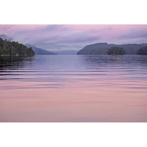 Canada, BC, Calvert Island Sunset reflections Black Modern Wood Framed Art Print with Double Matting by Paulson, Don