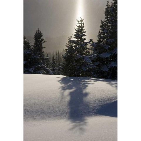 Canada, BC, Smithers Winter snow landscape Black Modern Wood Framed Art Print by Young, Bill