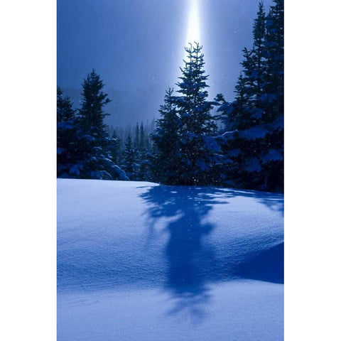 Canada, BC, Smithers Winter snow landscape Black Modern Wood Framed Art Print with Double Matting by Young, Bill