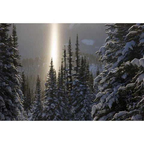 Canada, BC, Smithers Winter snow landscape Black Modern Wood Framed Art Print with Double Matting by Young, Bill