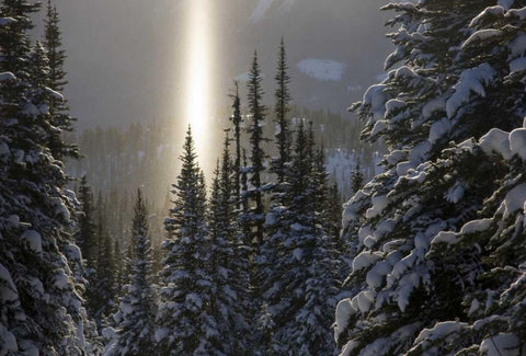 Canada, BC, Smithers Winter snow landscape White Modern Wood Framed Art Print with Double Matting by Young, Bill
