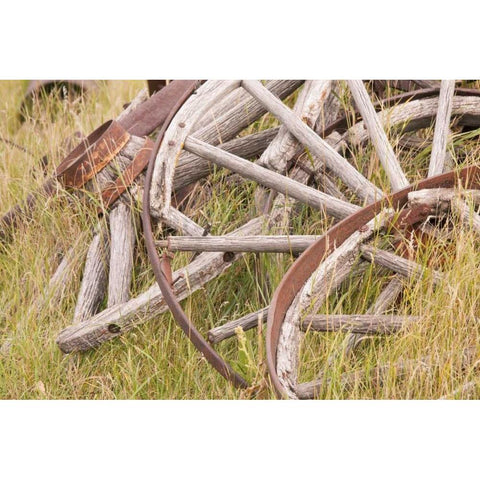 Canada, BC, Fort Steele Wagon wheels in grass Black Modern Wood Framed Art Print by Paulson, Don