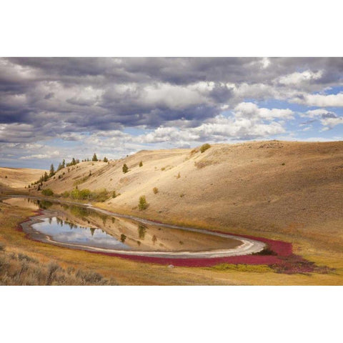 Canada, Kamloops, Lac Du Bois Grasslands Park Black Modern Wood Framed Art Print with Double Matting by Paulson, Don