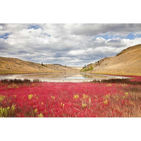 Canada, Kamloops, Lac Du Bois Grasslands Park Black Modern Wood Framed Art Print with Double Matting by Paulson, Don