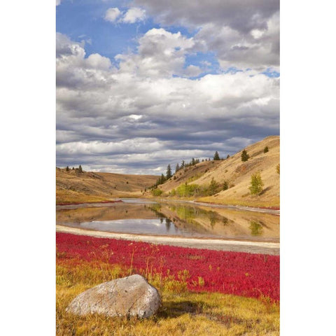 Canada, Kamloops, Lac Du Bois Grasslands Park Black Modern Wood Framed Art Print by Paulson, Don
