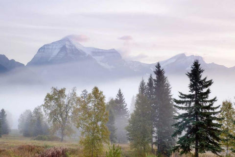 Canada, BC, Mount Robson PP Foggy sunrise White Modern Wood Framed Art Print with Double Matting by Paulson, Don