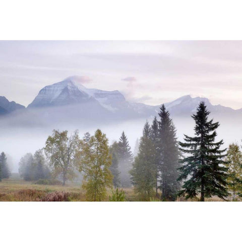Canada, BC, Mount Robson PP Foggy sunrise Black Modern Wood Framed Art Print by Paulson, Don