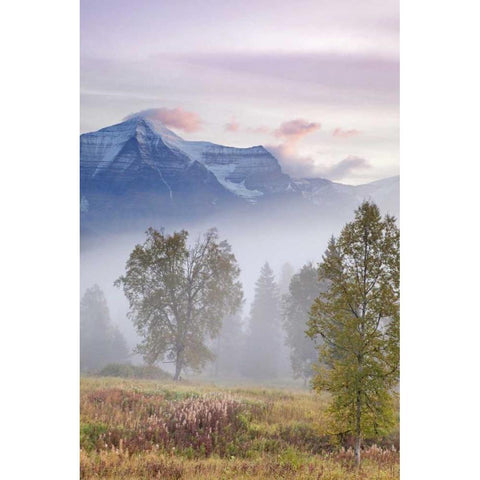 Canada, BC, Mount Robson PP Foggy sunrise Black Modern Wood Framed Art Print by Paulson, Don