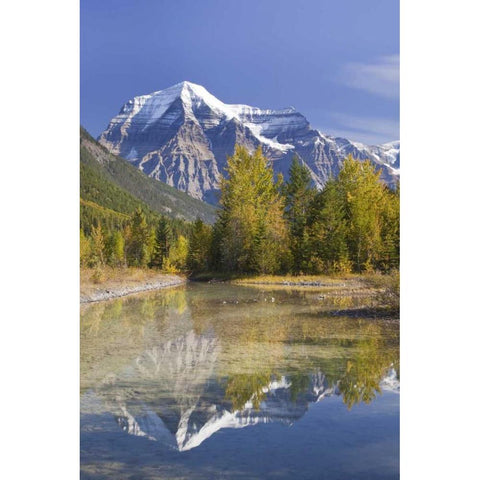 Canada, BC, Mt Robson PP Reflection of scenery Gold Ornate Wood Framed Art Print with Double Matting by Paulson, Don