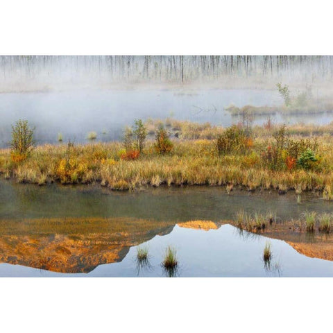Canada, BC, Mount Robson PP Lake and fog Black Modern Wood Framed Art Print by Paulson, Don