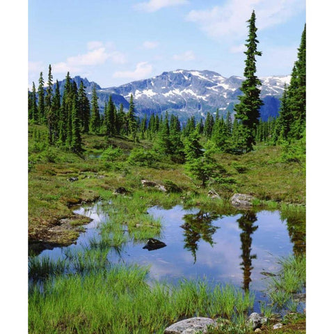 Canada, BC, Vancouver A tarn in the country Black Modern Wood Framed Art Print by Talbot Frank, Christopher