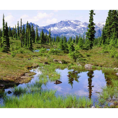 Canada, BC, Vancouver A tarn in the country Black Modern Wood Framed Art Print by Talbot Frank, Christopher