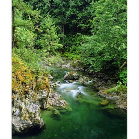 Little Qualicum River on Vancouver Island, Canada Black Modern Wood Framed Art Print by Talbot Frank, Christopher