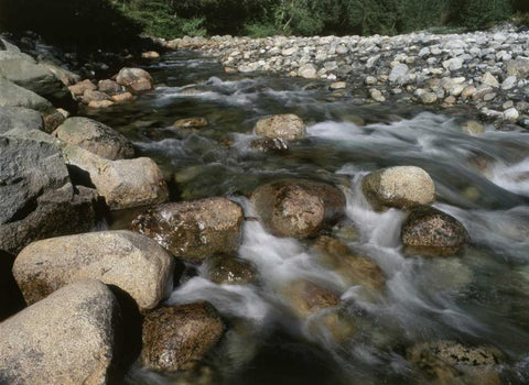 Canada, BC, Gold Creek at Golden Ears PP White Modern Wood Framed Art Print with Double Matting by Grandmaison, Mike