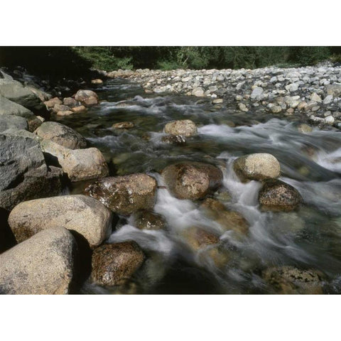 Canada, BC, Gold Creek at Golden Ears PP Black Modern Wood Framed Art Print by Grandmaison, Mike