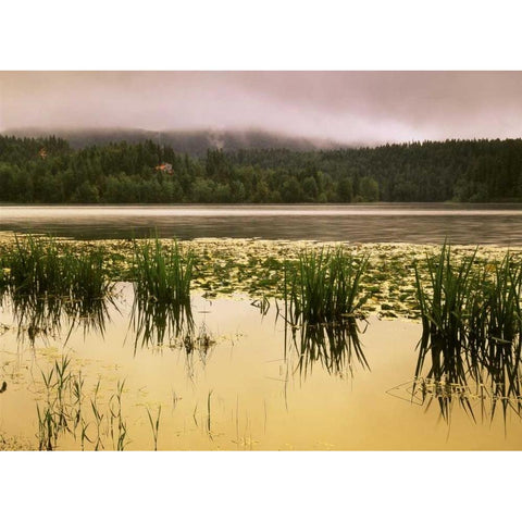 Canada, British Columbia, Clearwater, Dutch Lake Black Modern Wood Framed Art Print with Double Matting by Grandmaison, Mike