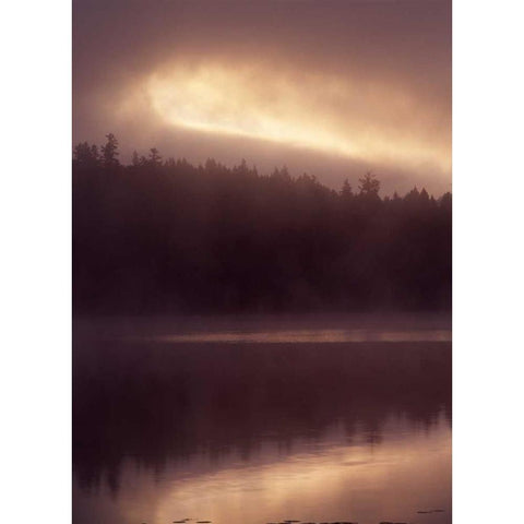 Canada, BC, Clearwater, fog on Dutch Lake Black Modern Wood Framed Art Print by Grandmaison, Mike