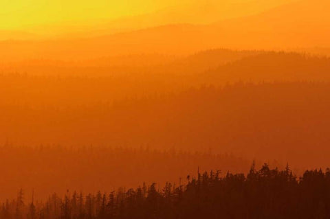 Canada, BC, Mountains of rain forest at sunset Black Ornate Wood Framed Art Print with Double Matting by Grandmaison, Mike