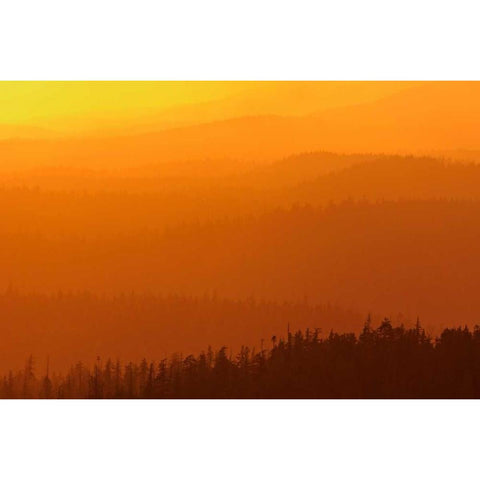 Canada, BC, Mountains of rain forest at sunset Black Modern Wood Framed Art Print with Double Matting by Grandmaison, Mike