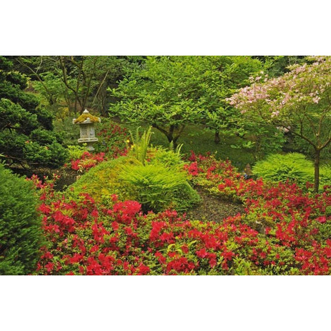 Canada, BC, Vancouver Lush Green Garden Gold Ornate Wood Framed Art Print with Double Matting by Grandmaison, Mike