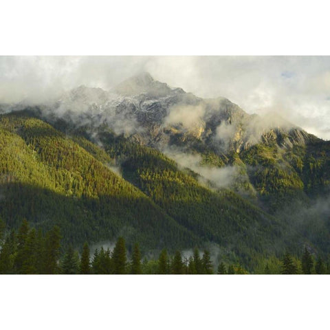 Canada, BC, Mt Robson PP Mountain landscape Gold Ornate Wood Framed Art Print with Double Matting by Grandmaison, Mike