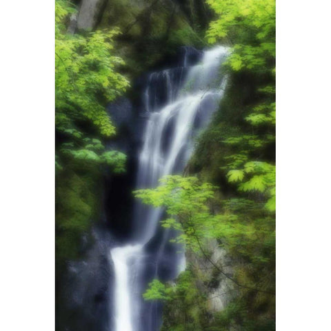 Canada, BC, Langford Waterfall at Goldstream PP Gold Ornate Wood Framed Art Print with Double Matting by Bush, Marie