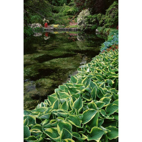 Canada, BC, Victoria Beautiful Garden Scenic Gold Ornate Wood Framed Art Print with Double Matting by Bush, Marie