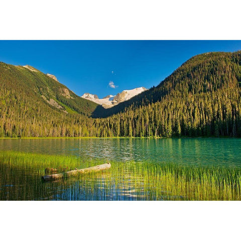 Canada-British Columbia-Joffre Lakes Provincial Park-Lower Joffre Lake landscape Black Modern Wood Framed Art Print by Jaynes Gallery