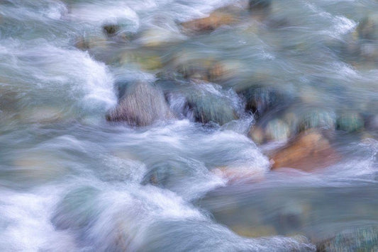 Image Only