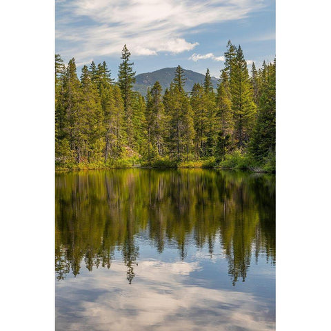 Canada-British Columbia-Brandywine Falls Provincial Park Swim Lake landscape  Gold Ornate Wood Framed Art Print with Double Matting by Jaynes Gallery
