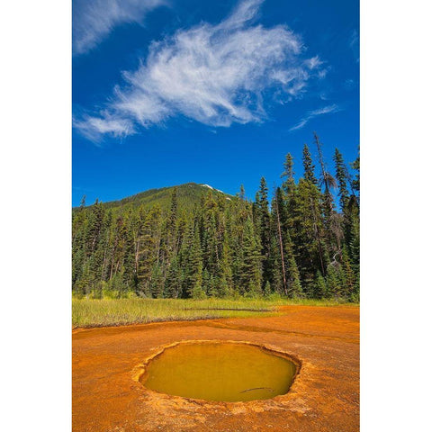 Canada-British Columbia-Kootenay National Park Iron-rich Paint Pots mineral springs stain ground Black Modern Wood Framed Art Print by Jaynes Gallery