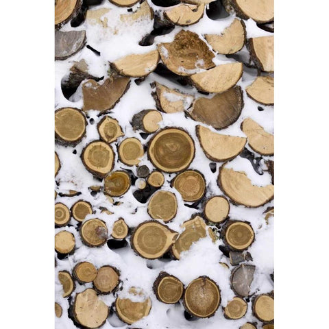 Canada, Churchill Stack of frozen cut fire wood White Modern Wood Framed Art Print by Kaveney, Wendy