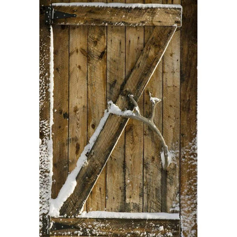 Canada, Churchill Close up of a wooden door Black Modern Wood Framed Art Print by Kaveney, Wendy