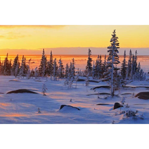 Canada, Churchill, Hudson Bay Sunrise on tundra Black Modern Wood Framed Art Print by Grandmaison, Mike