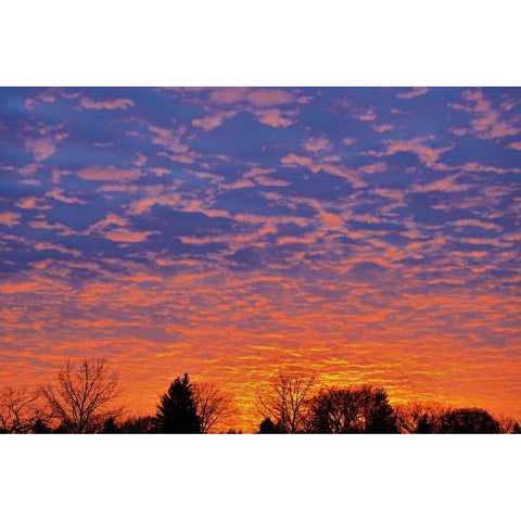 Canada, Manitoba, Winnipeg Clouds at sunset Black Modern Wood Framed Art Print by Grandmaison, Mike