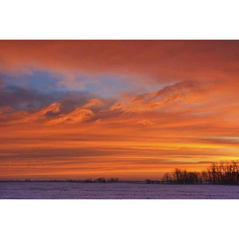 Canada, Deacons Corner Sunrise over the prairie Black Modern Wood Framed Art Print by Grandmaison, Mike