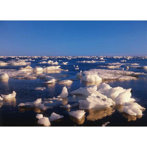 Canada, Churchill, ice floe in Hudson Bay Gold Ornate Wood Framed Art Print with Double Matting by Grandmaison, Mike
