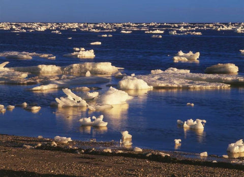 Canada, Churchill, ice floe in Hudson Bay White Modern Wood Framed Art Print with Double Matting by Grandmaison, Mike