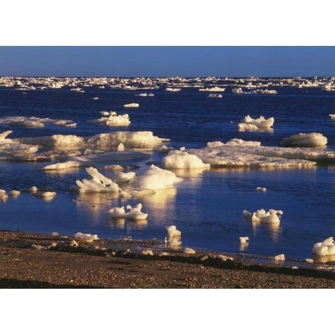 Canada, Churchill, ice floe in Hudson Bay Black Modern Wood Framed Art Print by Grandmaison, Mike