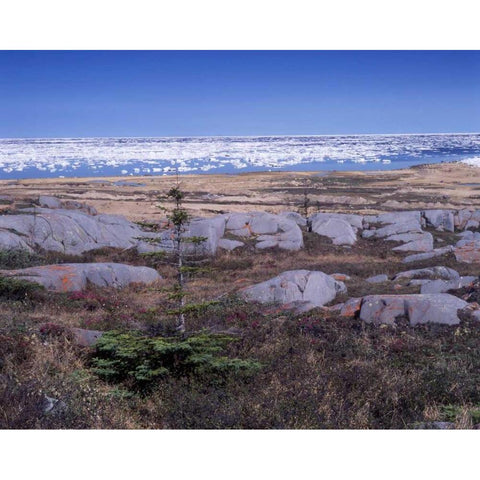 Canada, Manitoba, Churchill, Ice floe floating Black Modern Wood Framed Art Print by Grandmaison, Mike