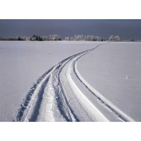 Canada, Manitoba, Tire tracks in snow landscape Gold Ornate Wood Framed Art Print with Double Matting by Grandmaison, Mike