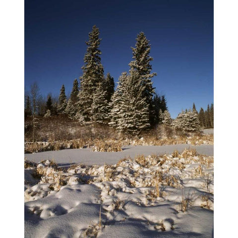 Canada, Manitoba, Riding Mountain NP Black Modern Wood Framed Art Print by Grandmaison, Mike