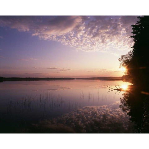 Canada, Manitoba, Duck Mountain Provincial Park Black Modern Wood Framed Art Print by Grandmaison, Mike