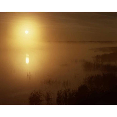 Canada, Riding Mountain NP, Whirlpool lake Black Modern Wood Framed Art Print by Grandmaison, Mike