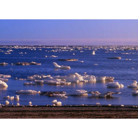 Canada, Churchill, ice floe in Hudson Bay Gold Ornate Wood Framed Art Print with Double Matting by Grandmaison, Mike