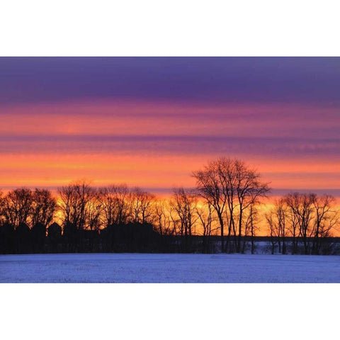 Canada, Manitoba, Dauphin Farmstead at dusk Black Modern Wood Framed Art Print with Double Matting by Grandmaison, Mike