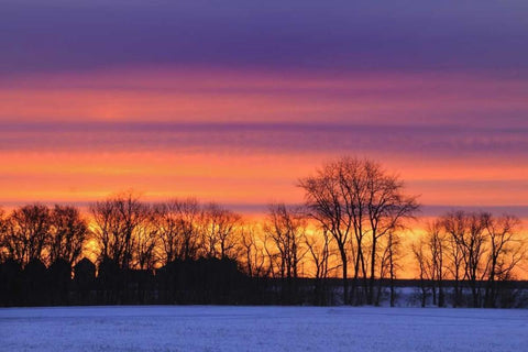Canada, Manitoba, Dauphin Farmstead at dusk Black Ornate Wood Framed Art Print with Double Matting by Grandmaison, Mike